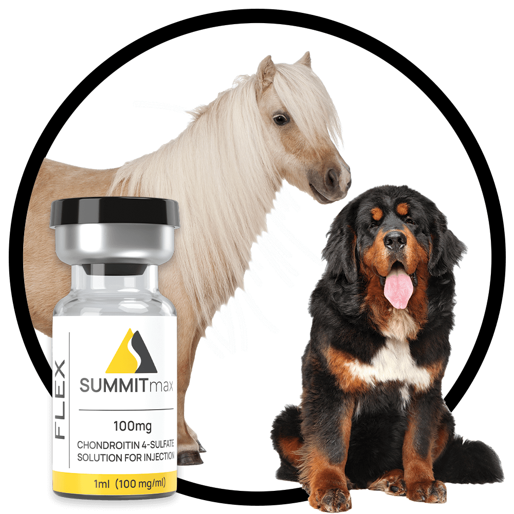 Chondroitin sulfate outlet for dogs